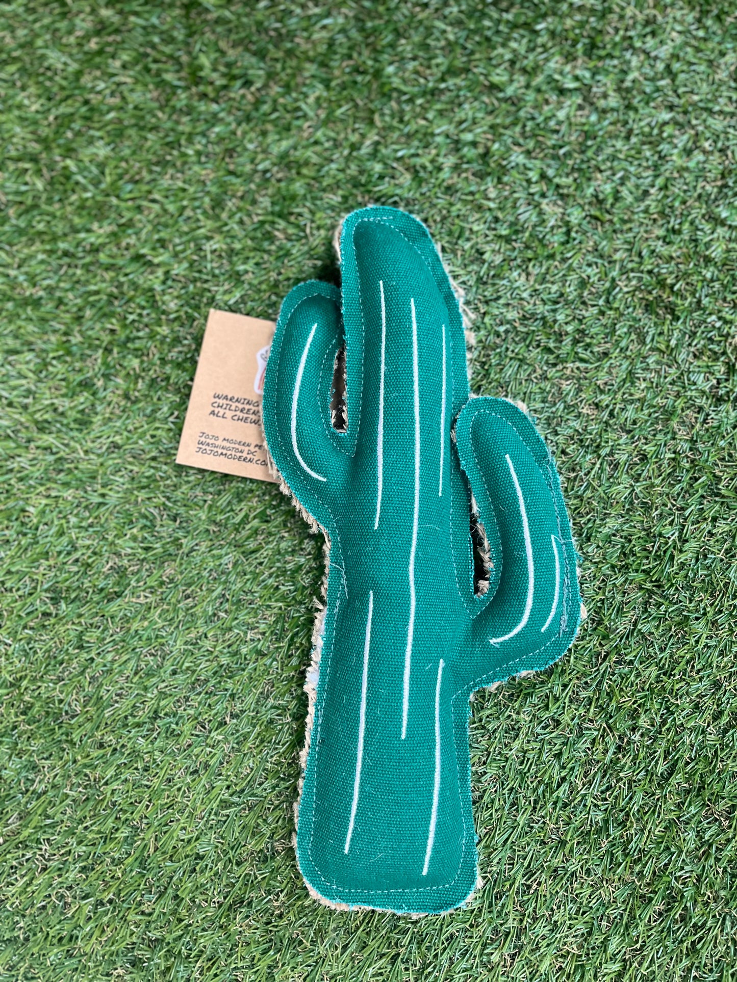 Cactus Dog Toy