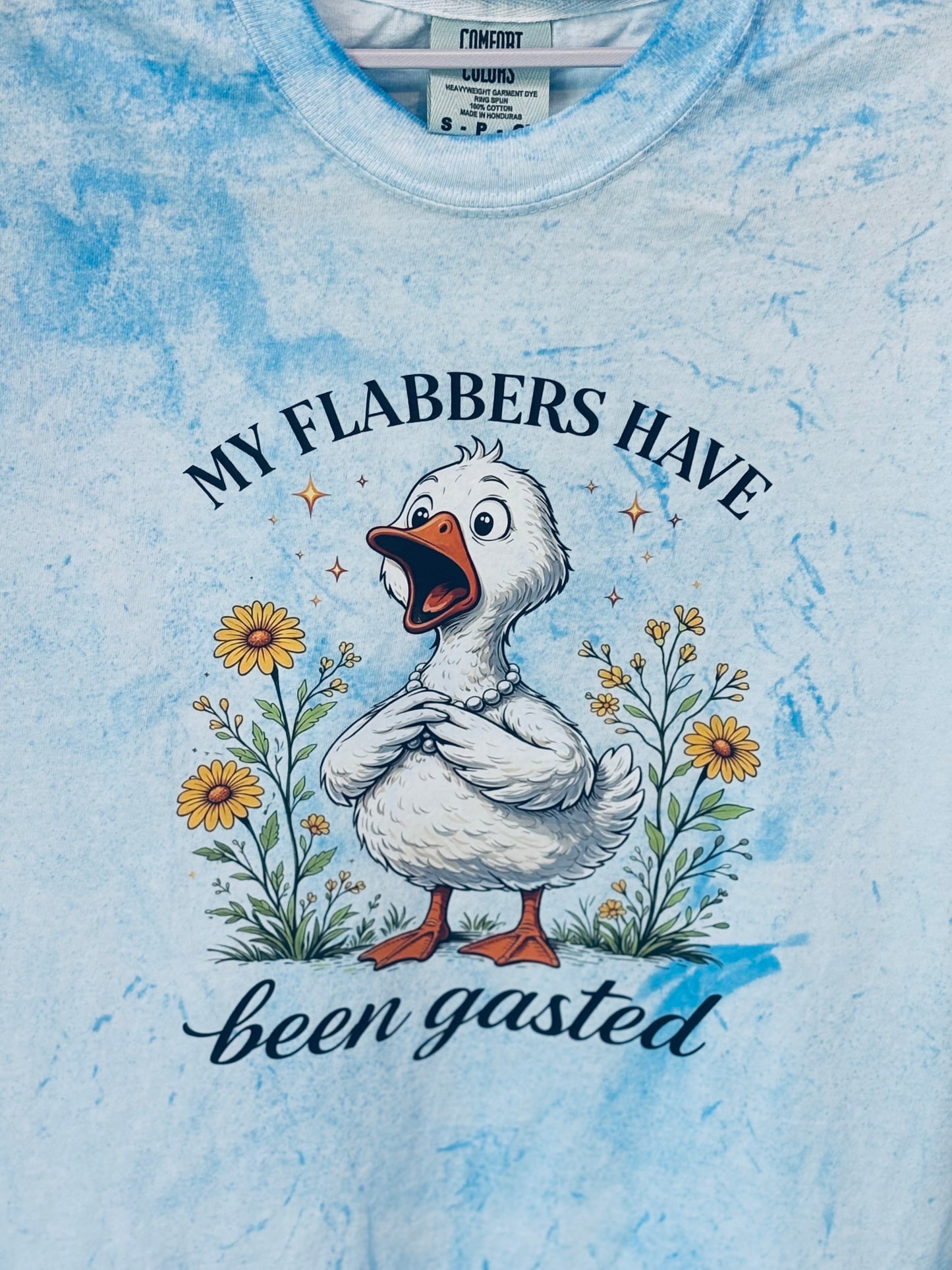 Flabbers Gasted Goose Graphic T-shirt