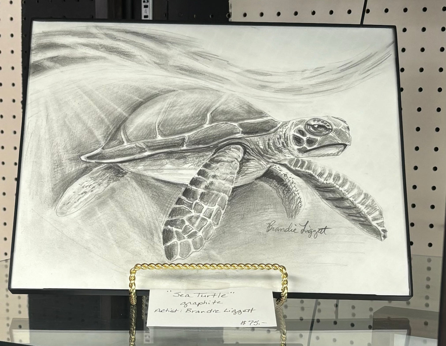 Framed Original Art Sea Turtle