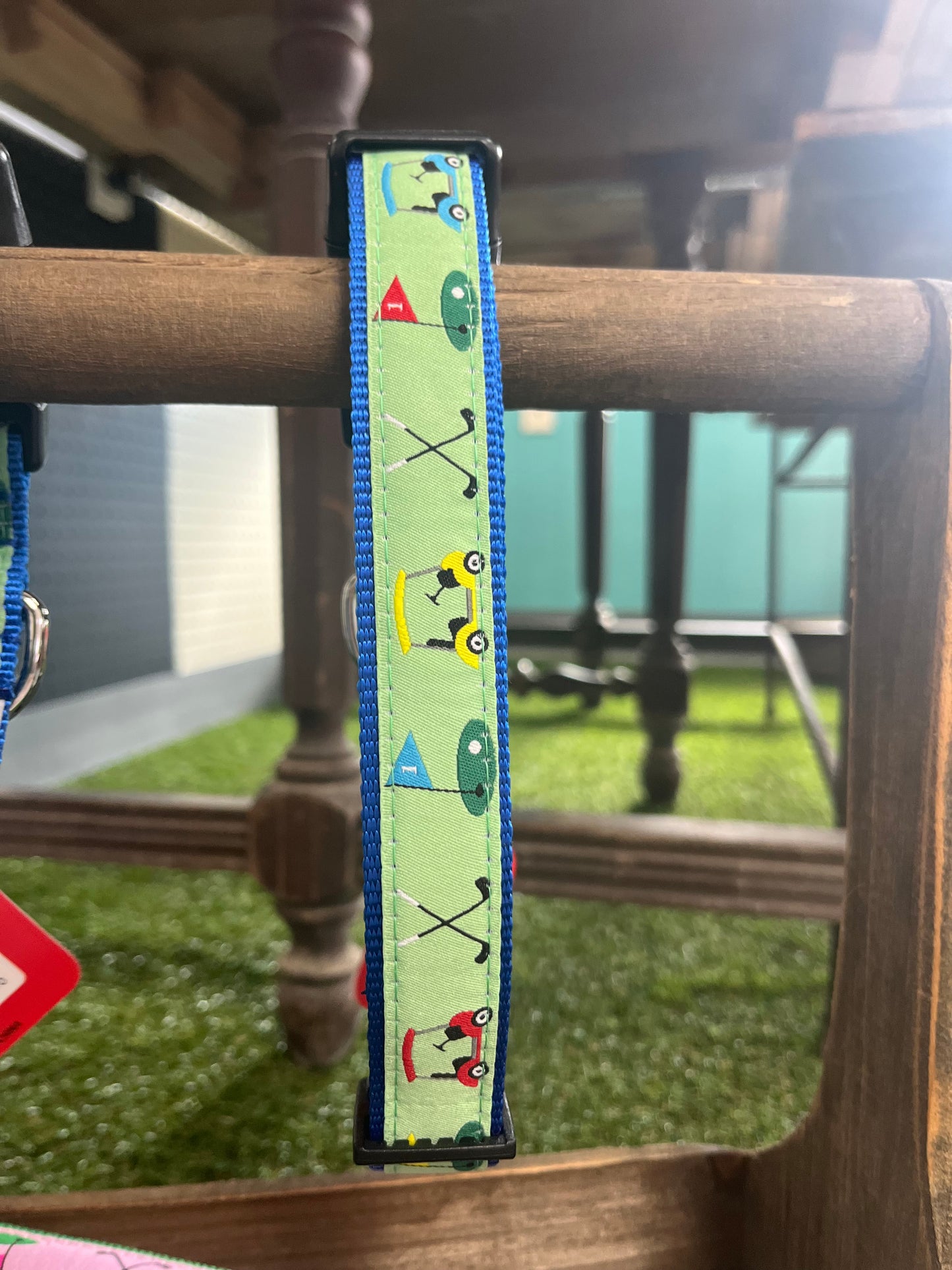 Decrative Dog Collar