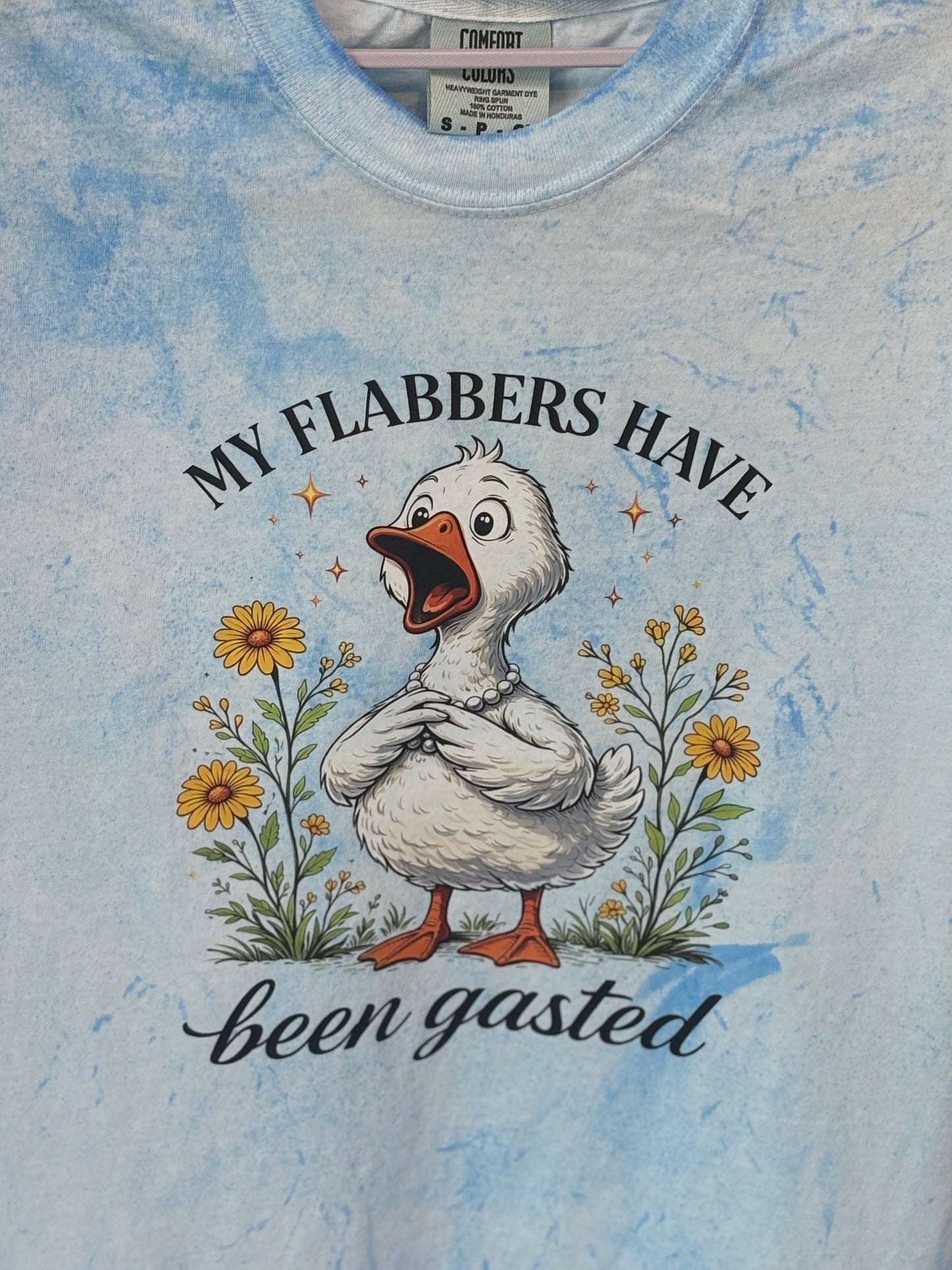 Flabbers Gasted Goose Graphic T-shirt