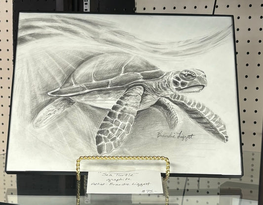 Framed Original Art Sea Turtle